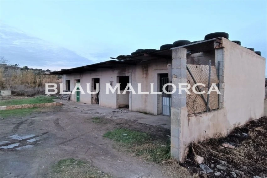 Sale Rustic houses Manacor
