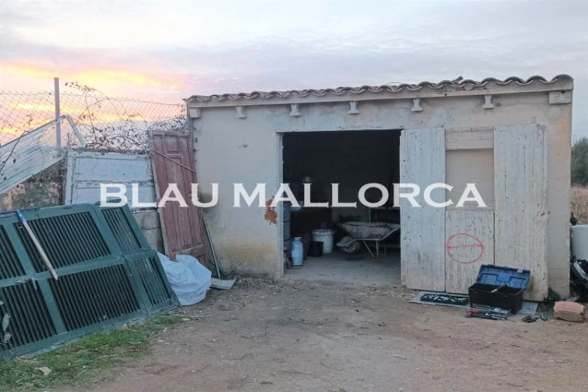 Sale Rustic houses Manacor