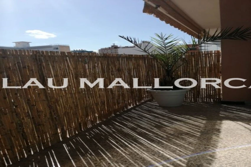 Sale Apartments Llucmajor
