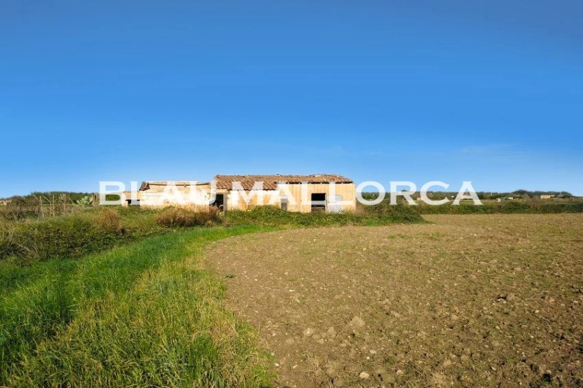 Sale Rustic houses Petra
