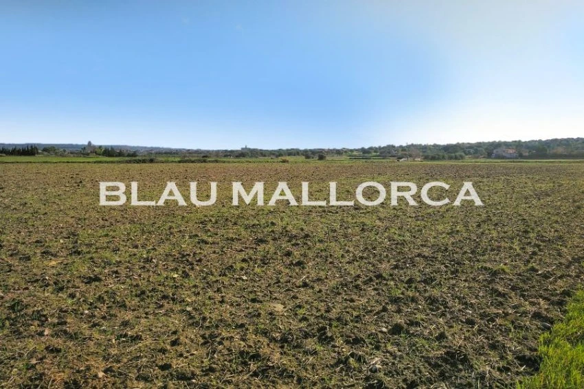 Sale Rustic houses Petra