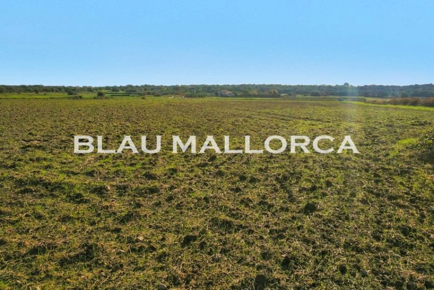 Sale Rustic houses Petra