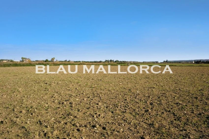 Sale Rustic houses Petra