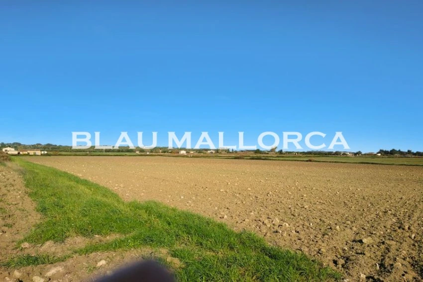 Sale Rustic houses Petra