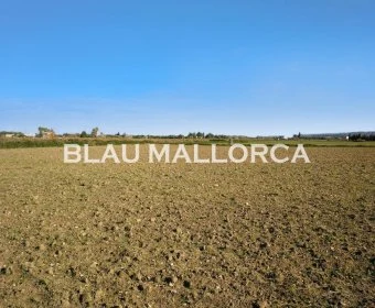Sale Rustic houses Petra