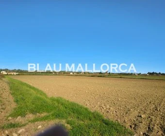 Sale Rustic houses Petra