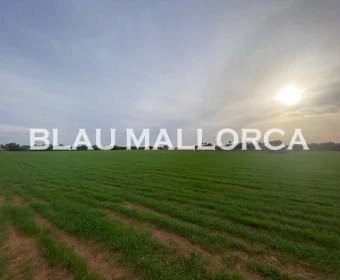 Verkauf landet Campos