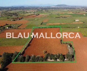 Venta Terrenos Felanitx
