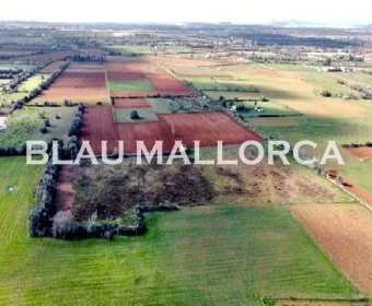 Venta Terrenos Felanitx