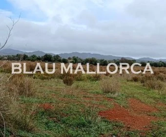 Venta Terrenos Felanitx