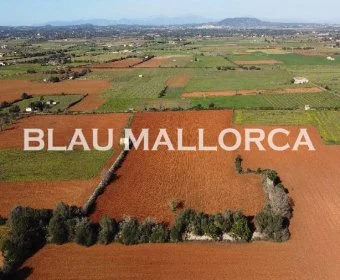 Venta Terrenos Felanitx