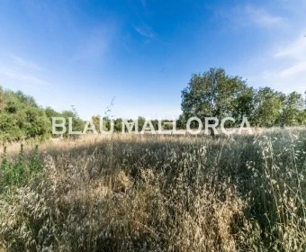 Venta Terrenos Felanitx