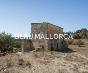 Sale Rustic houses María de la salut