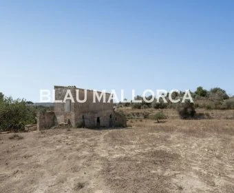 Sale Rustic houses María de la salut