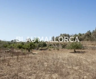 Sale Rustic houses María de la salut