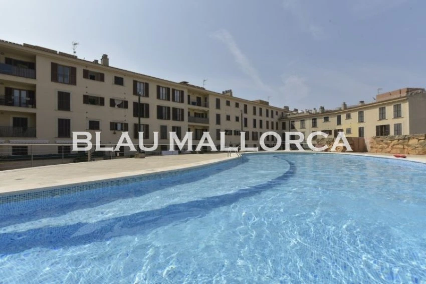 Venta Pisos Manacor
