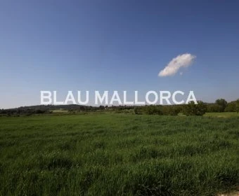 Venta Terrenos Porreres