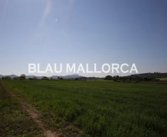 Venta Terrenos Porreres