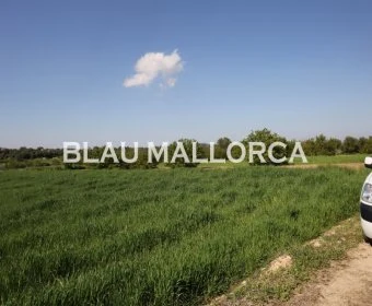 Venta Terrenos Porreres