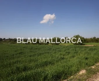 Venta Terrenos Porreres