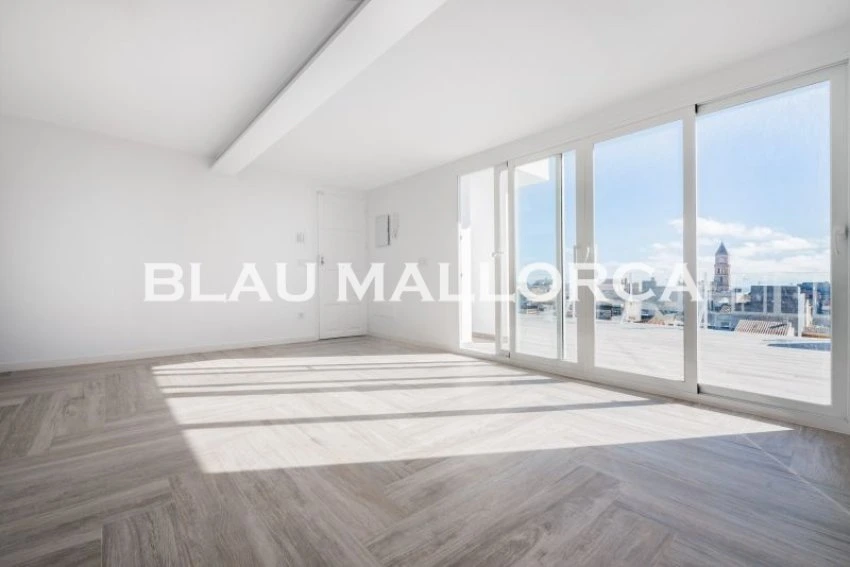 Sale Apartments Porto Cristo