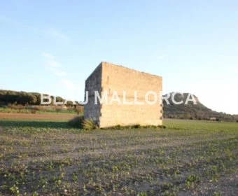 Venta Terrenos Sineu