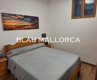 Venta Casas Porto Cristo