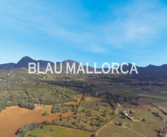 Land zum Verkauf in Manacor Mallorca