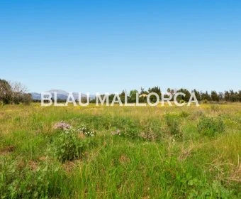 Sale Rustic houses Llubí