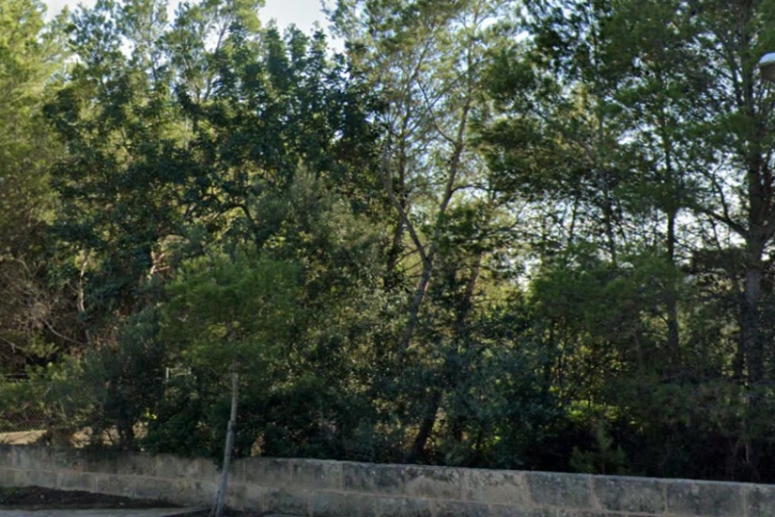 Venta Solares urbanos Cala Millor