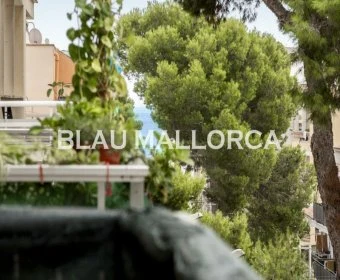Sale Apartments Cala Millor