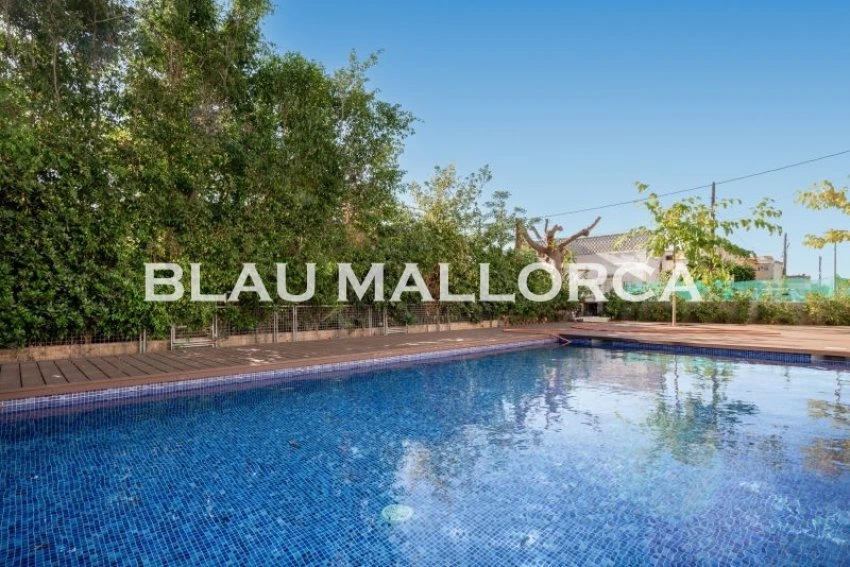 Sale Apartments Cala Millor