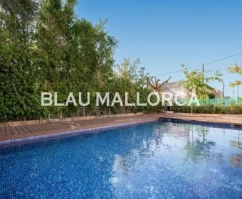 Sale Apartments Cala Millor