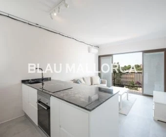 Venta Pisos Calas de Mallorca