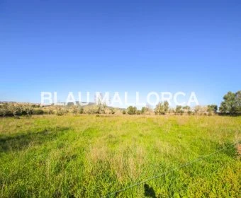 Sale Lands Vilafranca de Bonany