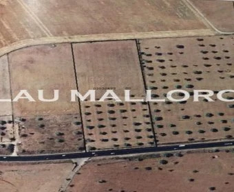 Venta Terrenos Porto Cristo