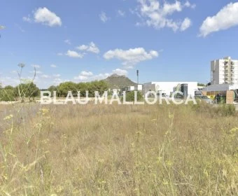 Venta Solares urbanos Cala Millor