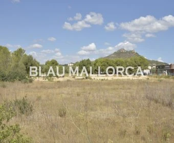 Venta Solares urbanos Cala Millor