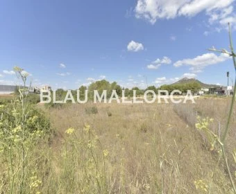 Venta Solares urbanos Cala Millor