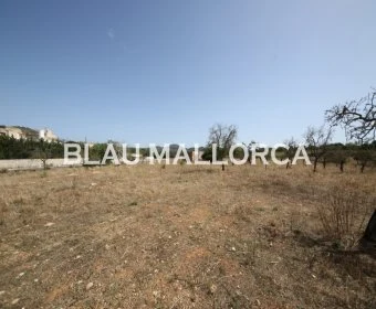 Sale Lands Son Carrio