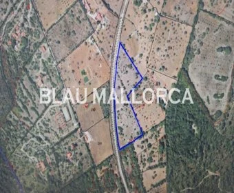 Venta Terrenos Son Servera