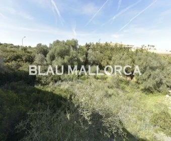 Sale Urban solar Cala Mandia