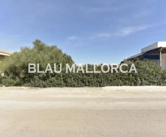 Sale Urban solar Cala Mandia