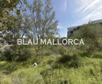 Sale Urban solar Cala Mandia