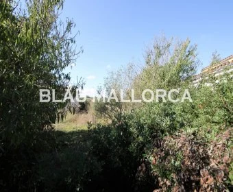 Venta Solares urbanos Vilafranca de Bonany