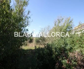 Venta Solares urbanos Vilafranca de Bonany