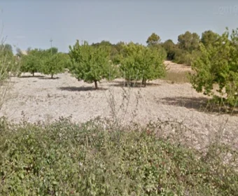 Venta Terrenos Porreres