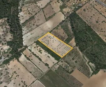 Venta Terrenos Porreres