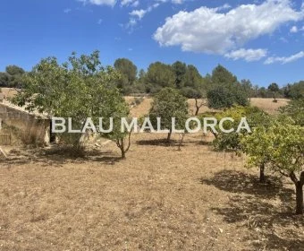 Sale Rustic houses Son Servera