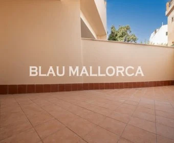 Venta Locales Campos